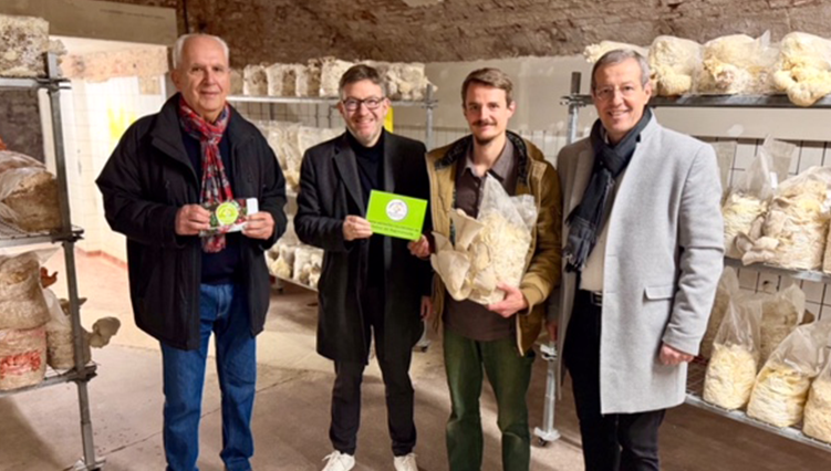 impressionen_pilzzucht